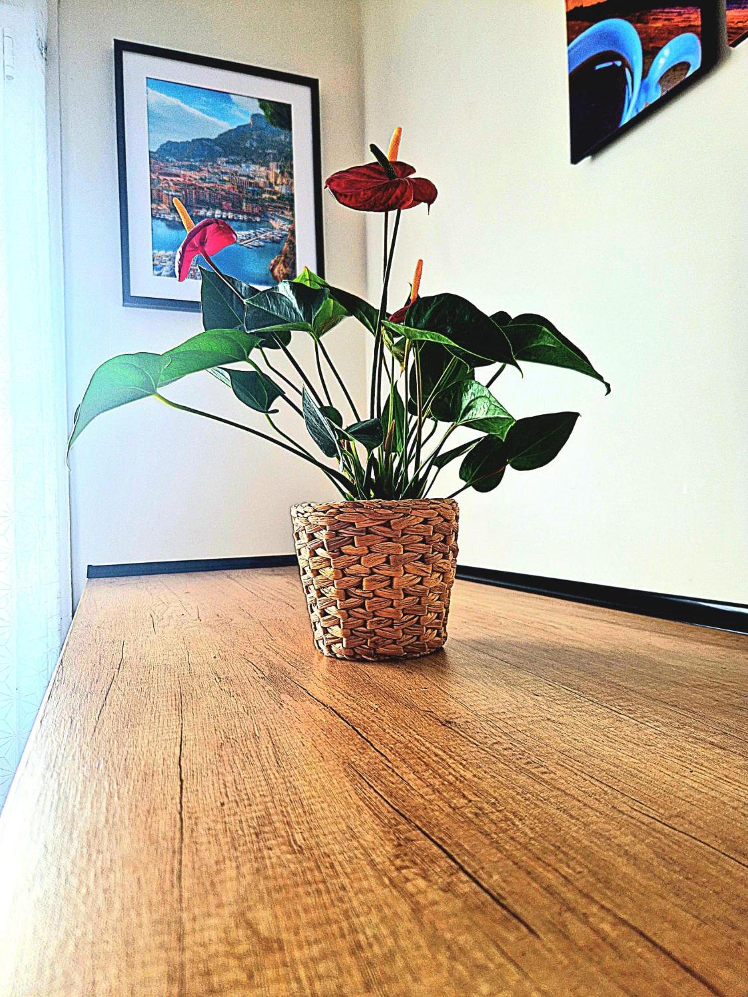 Nissalabella Apartment Nice Luaran gambar